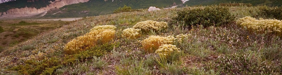 مسلســلات رمضــان 2023