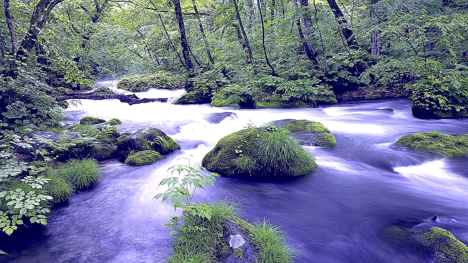 Alexanderbranwhite58