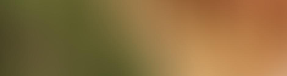 Chippendaleorrisroot