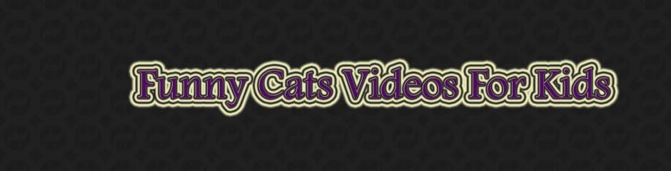 Funny Cats Videos For KIds