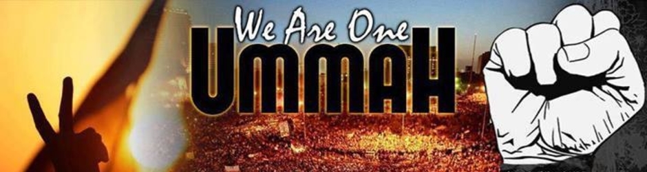 Muhammad Raza SaQib Mustafai