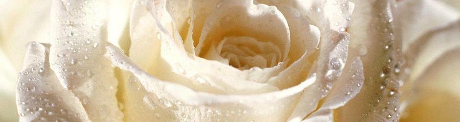 Всё что происходит в жизни