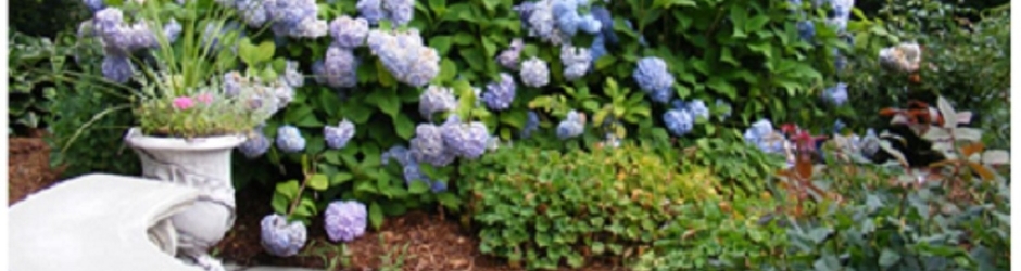 Nationalfacility Solutions