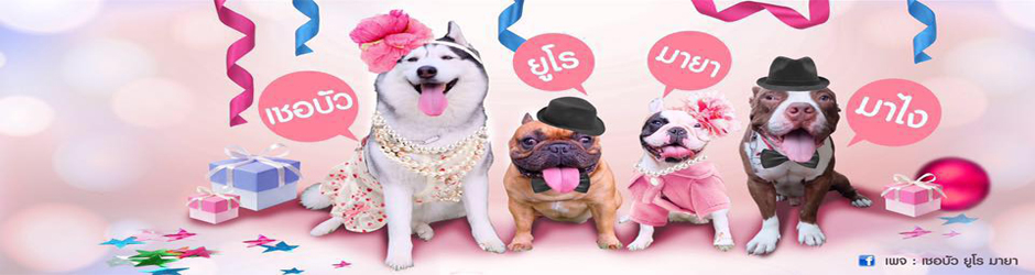 เชอบัว ยูโร มายา