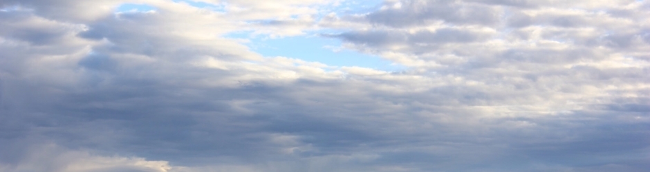 Funny clip and videos