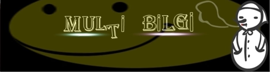MultiBilgi
