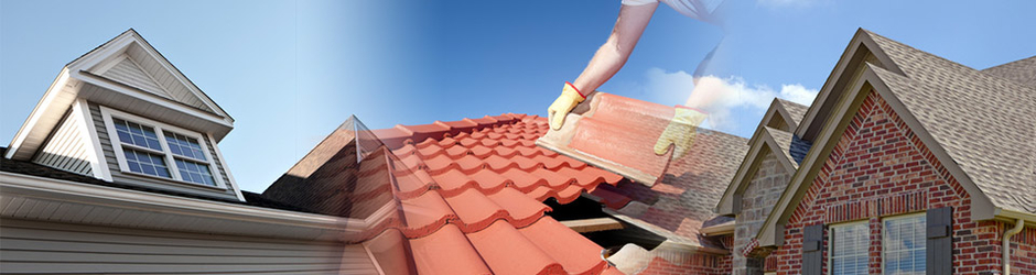 Edmonton Roofing