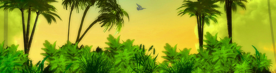 Marketan Analysis reports