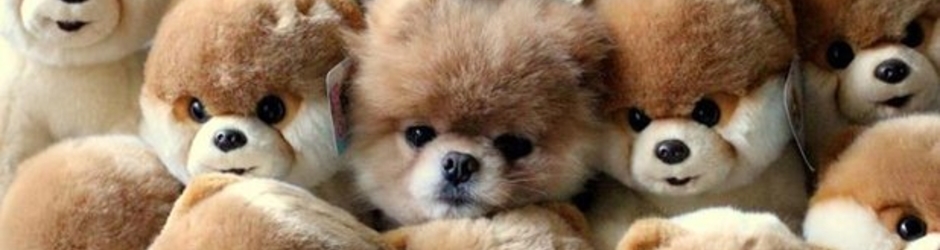 Online Entertainment