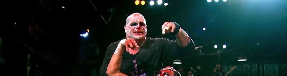 Lion Wrestling Videos