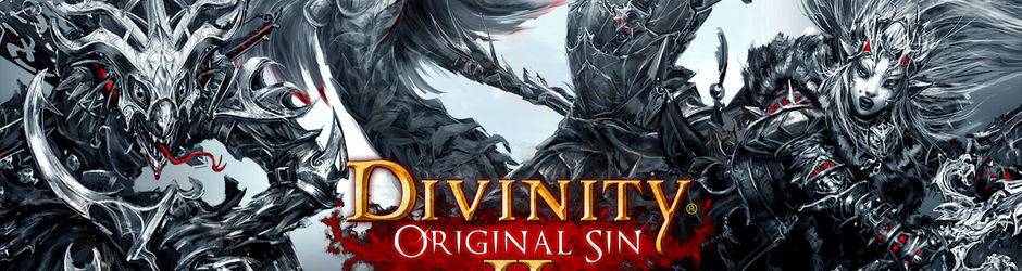 Divinity Original Sin 2