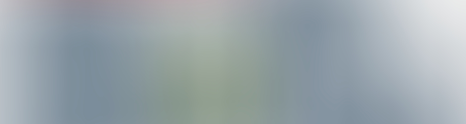 Best Animation Family