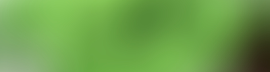 Watch The Angry Birds Movie Full