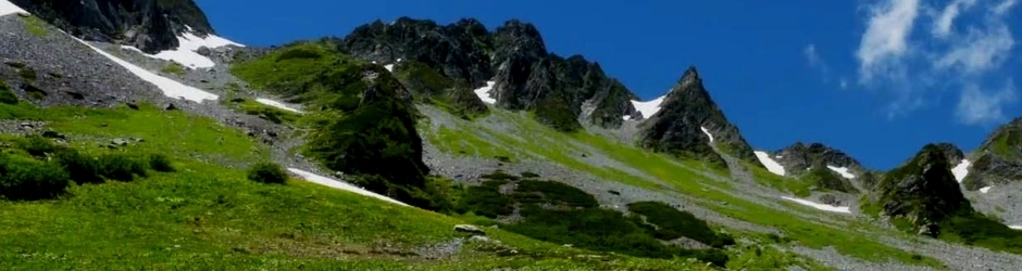 マルガリータ(丸刈リータ）