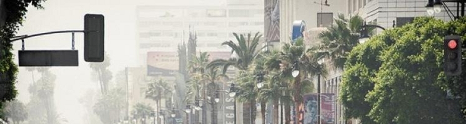 Narendra Singh Plaha