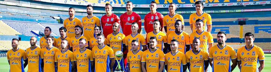 Tigres Oficial