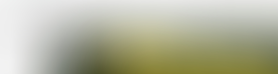 tsrwatermarkimagepro3561