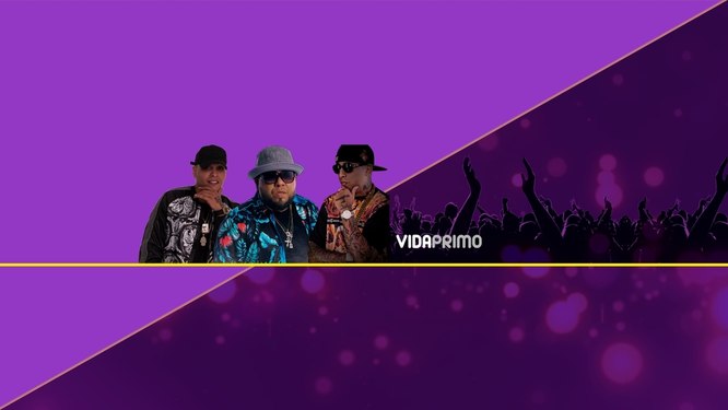 VidaPrimo