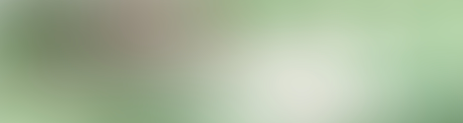 Draw Realistic Pencil Portraits