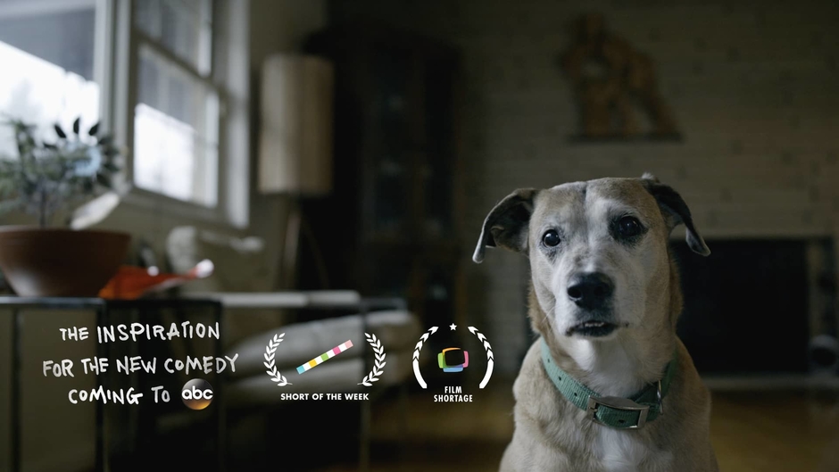 Downward Dog Season 1 - Premieres Series HD