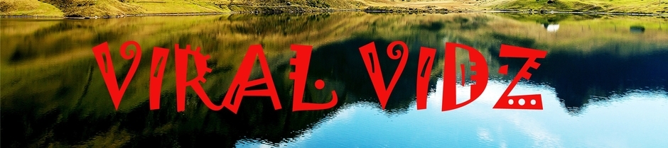 ViralVidz