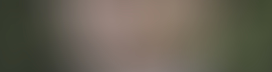 Tomas Vargas Harvard