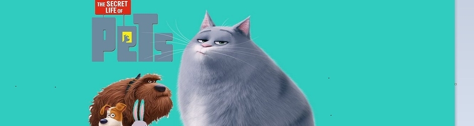 The Secret Life of Pets Full Movie BF3D5CWQ