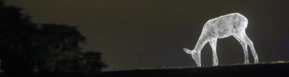 Relaxing Entertainment Channel