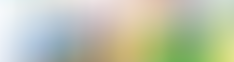 Cleaning Services NYC