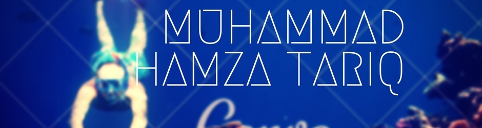 Muhammad Hamza Tariq