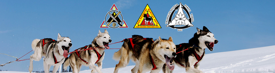 Team Sled Dog