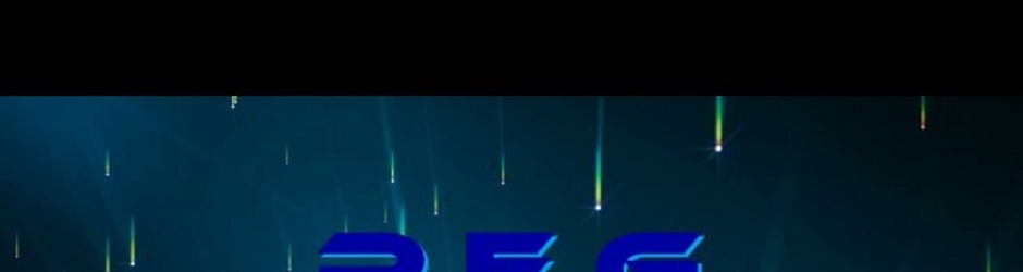 Project Fatal Gaming