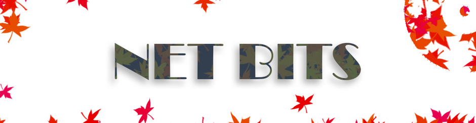 Net Bits