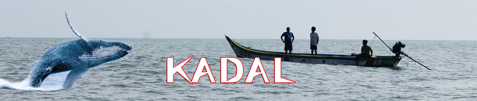 Kadal Tv