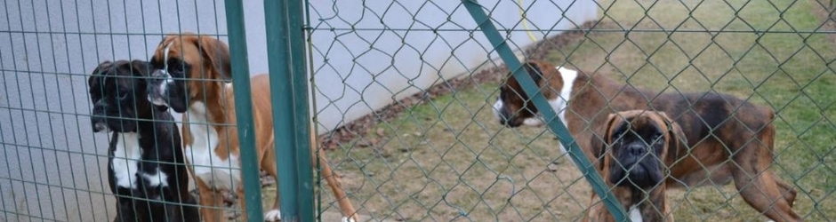 Boboxs du Bief de Partage