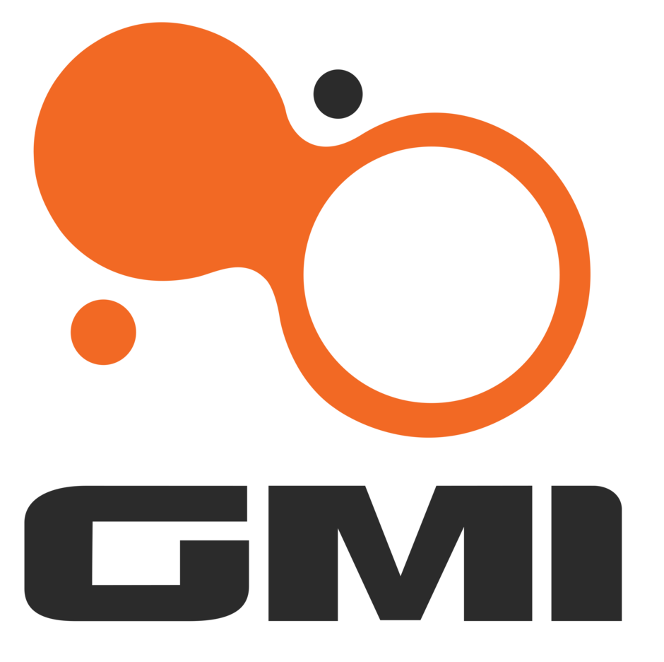GMI - La vie en plus facile