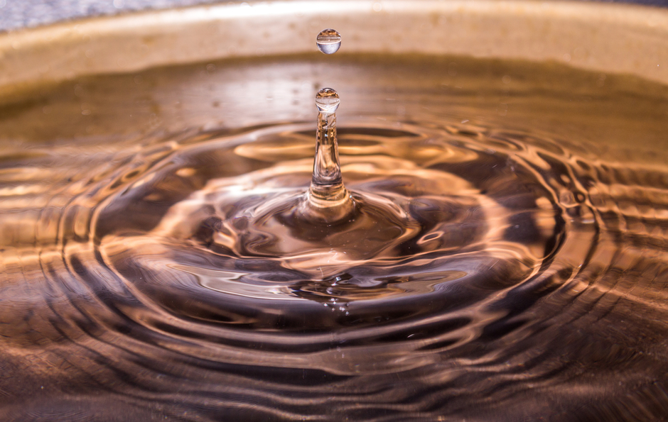 Selva Photography Learner