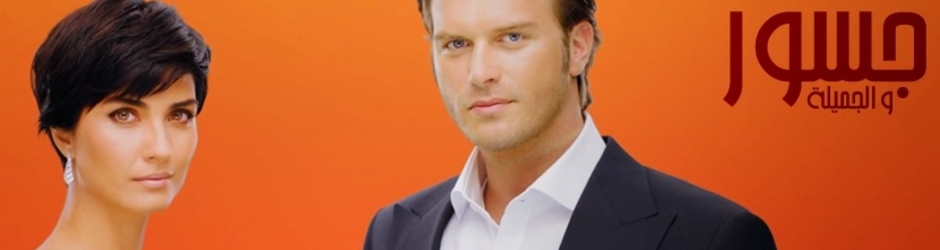 الفن التركي