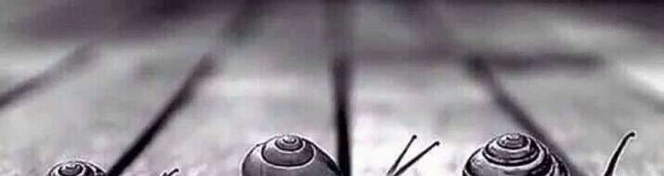 long time entertainment