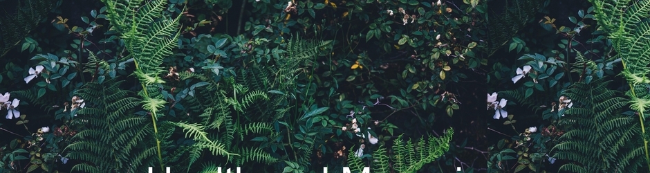 5S HEALTH AND SAFETY