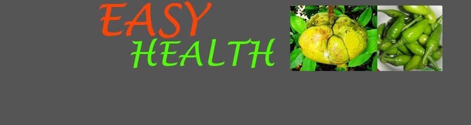 Easy Healthy Life  How To Make