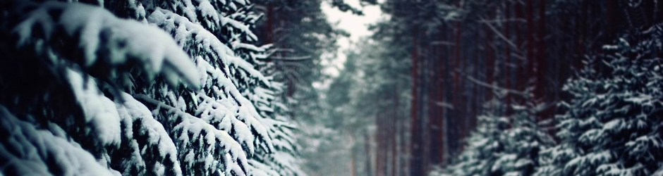 Εντουαρντ Γκίνζμπουργκ