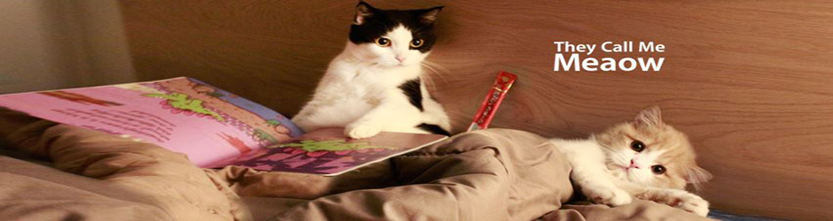 Theycallmemeaow เค้าเรียกผมว่าแมว