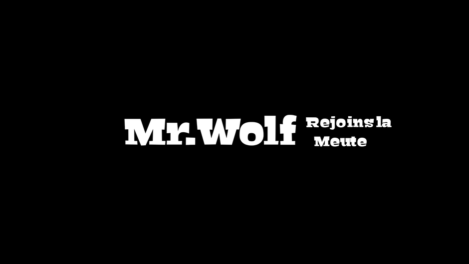 Mr Wolf
