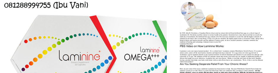 agen laminine termurah