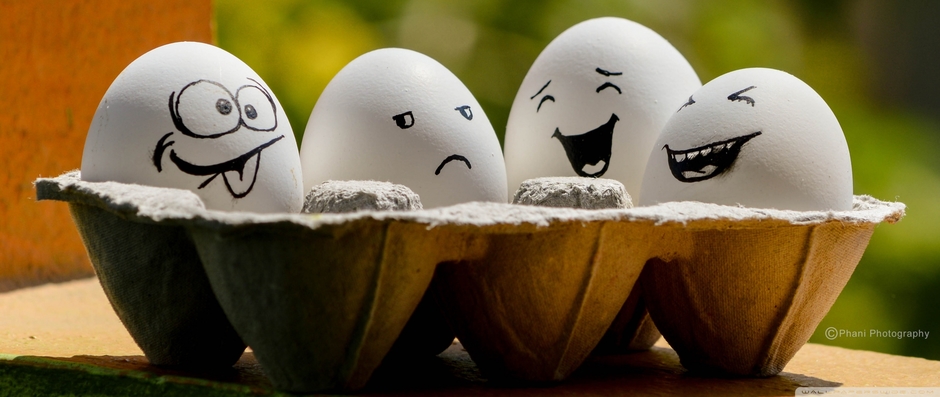 Nature And Funny Videos