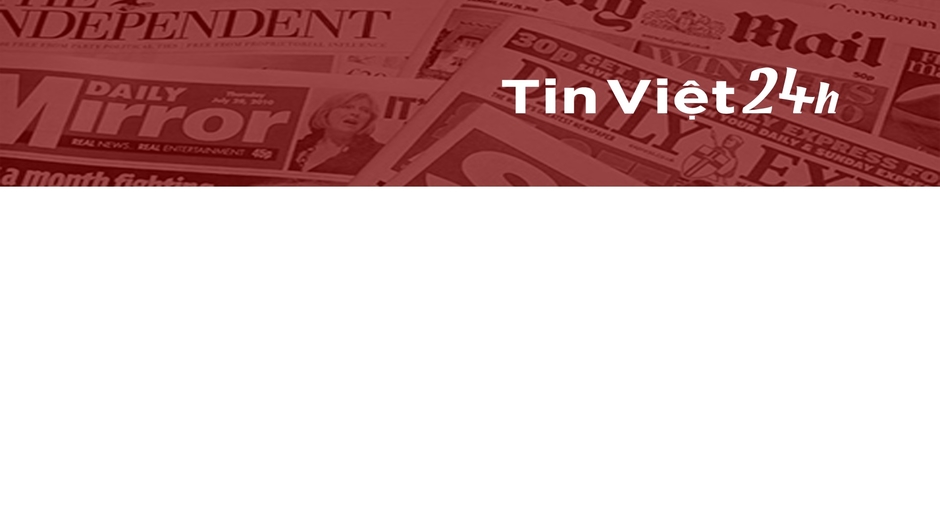 Tin Việt 24h