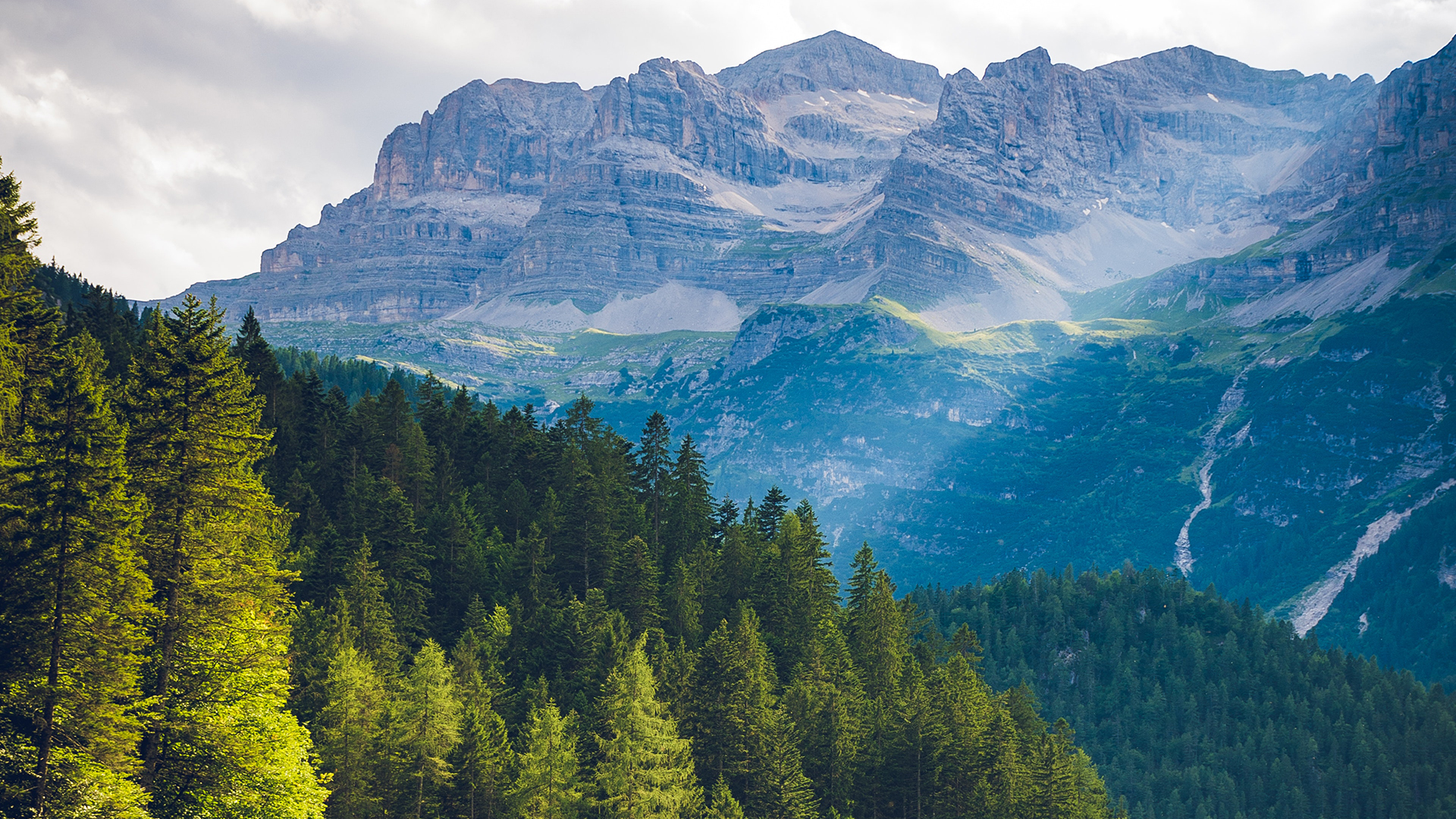 風潮音樂  WIND MUSIC