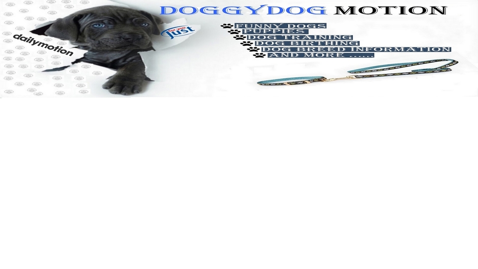 DOGGYDOGMOTION