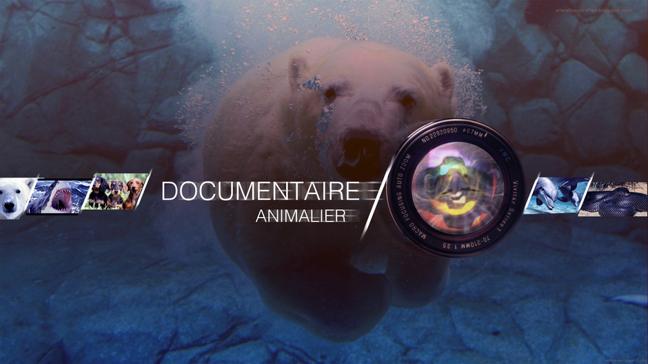 imineo Documentaires